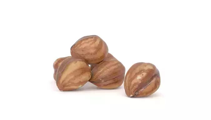 Hazelnut kernel Photoscan Low-poly 3D model