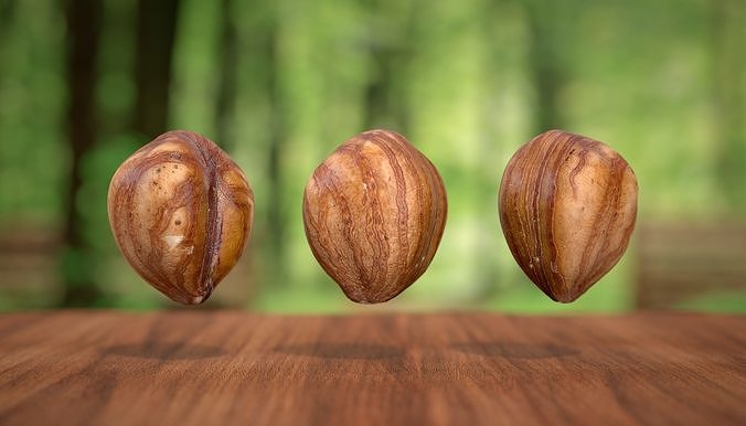 Hazelnut kernel Photoscan Low-poly 3D model 3