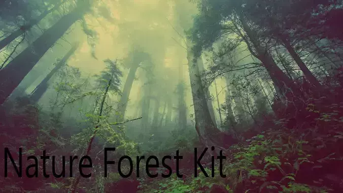 Nature Forest Kit