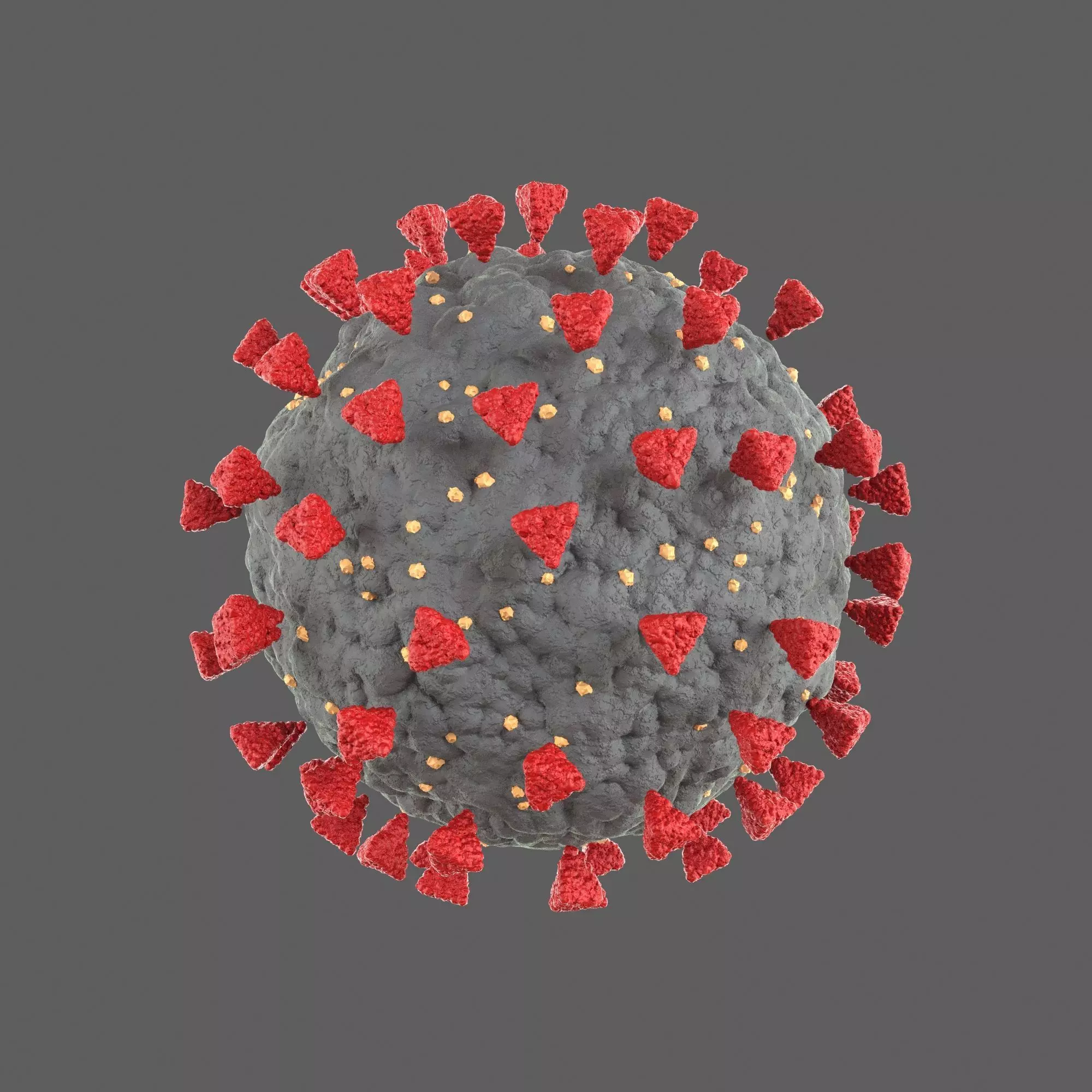 coronavirus 3D model