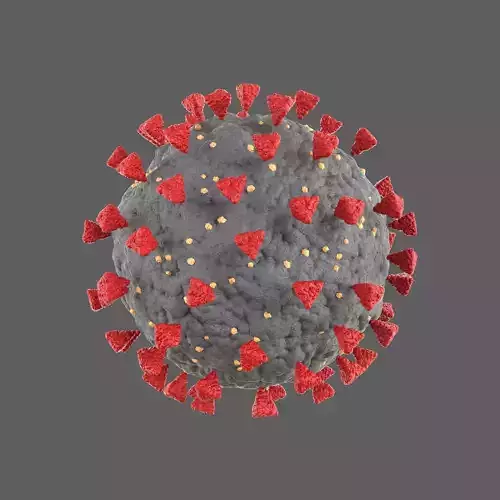 coronavirus