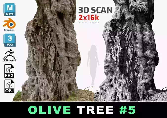 Ancient OliveTree 05 RAW 3D Scan 2x16k Textures