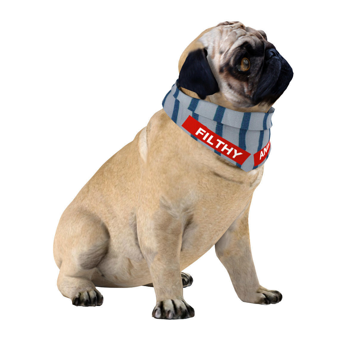 PUG - Dog 3D model_7