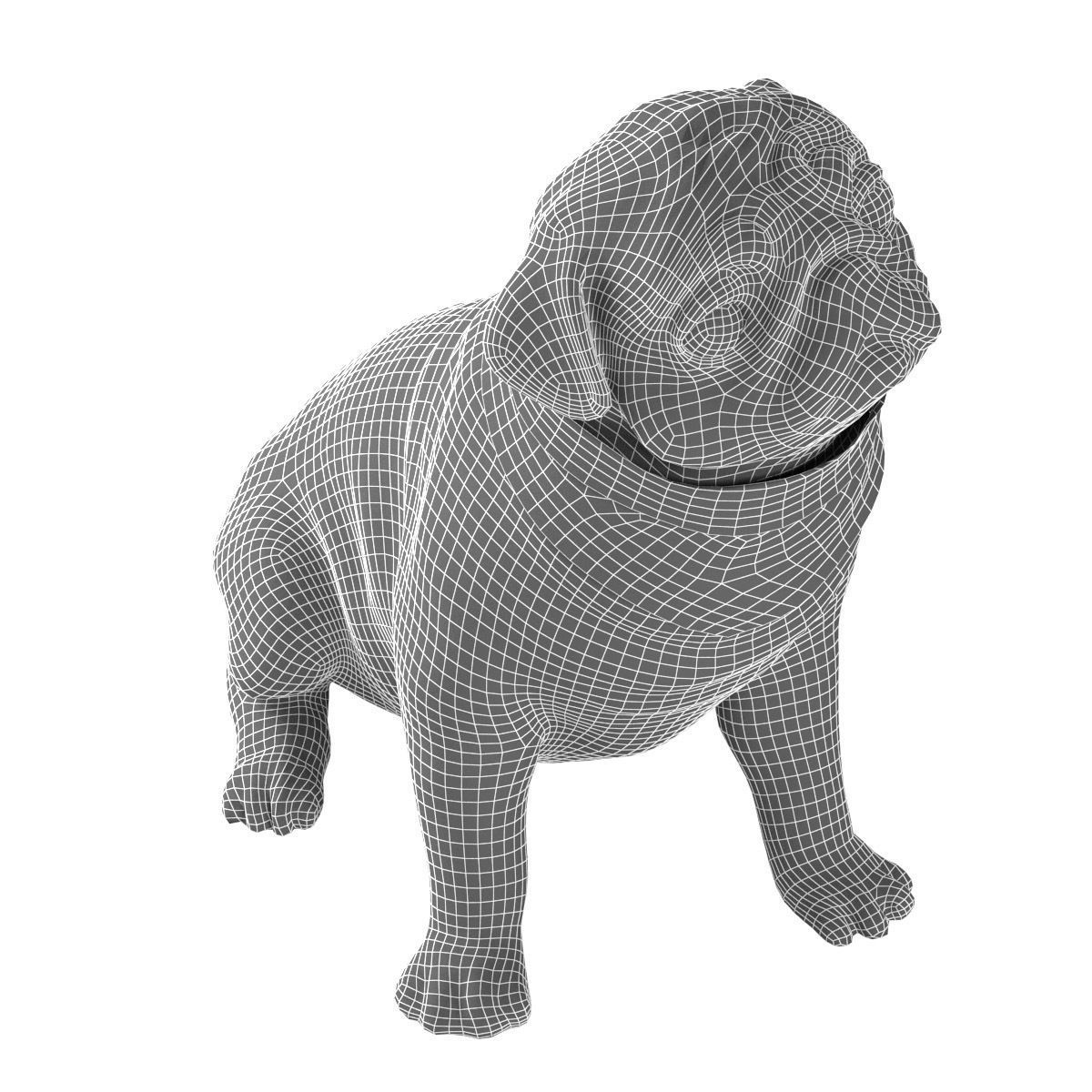 PUG - Dog 3D model_13