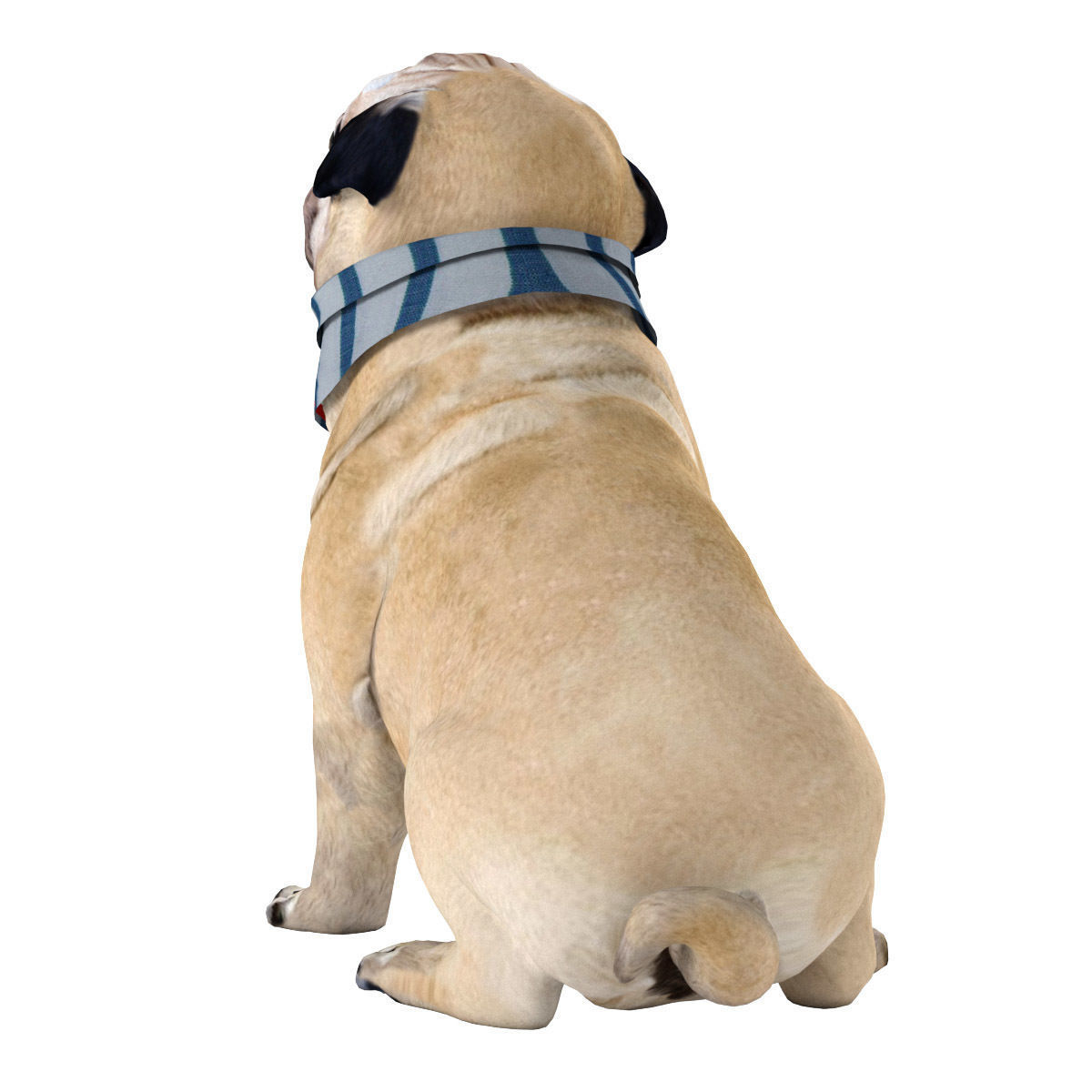 PUG - Dog 3D model_9