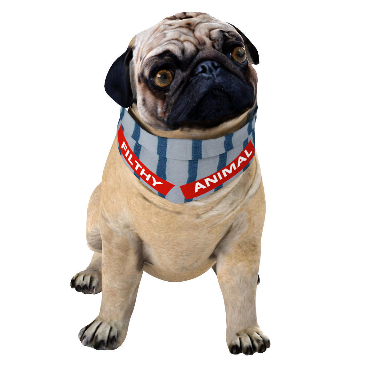 PUG - Dog 3D model_8