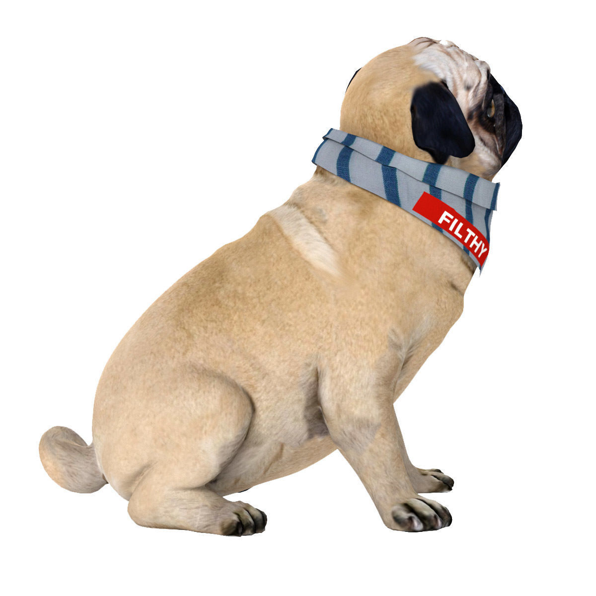 PUG - Dog 3D model_6