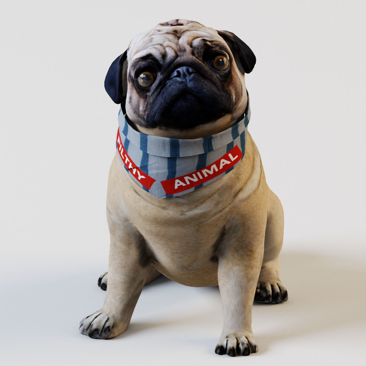 PUG - Dog 3D model_1