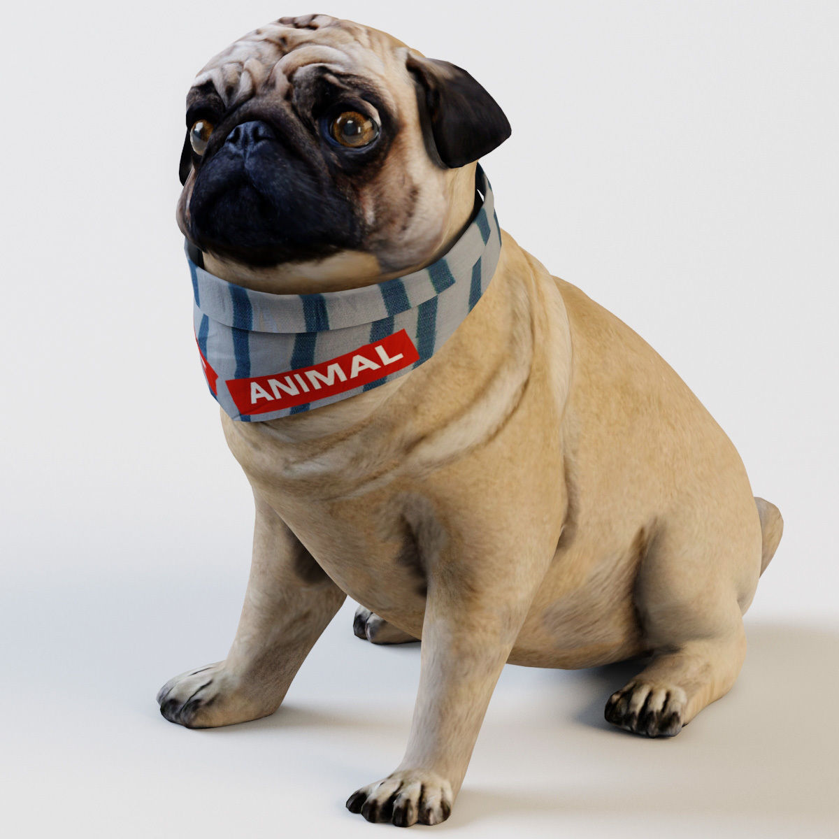 PUG - Dog 3D model_3