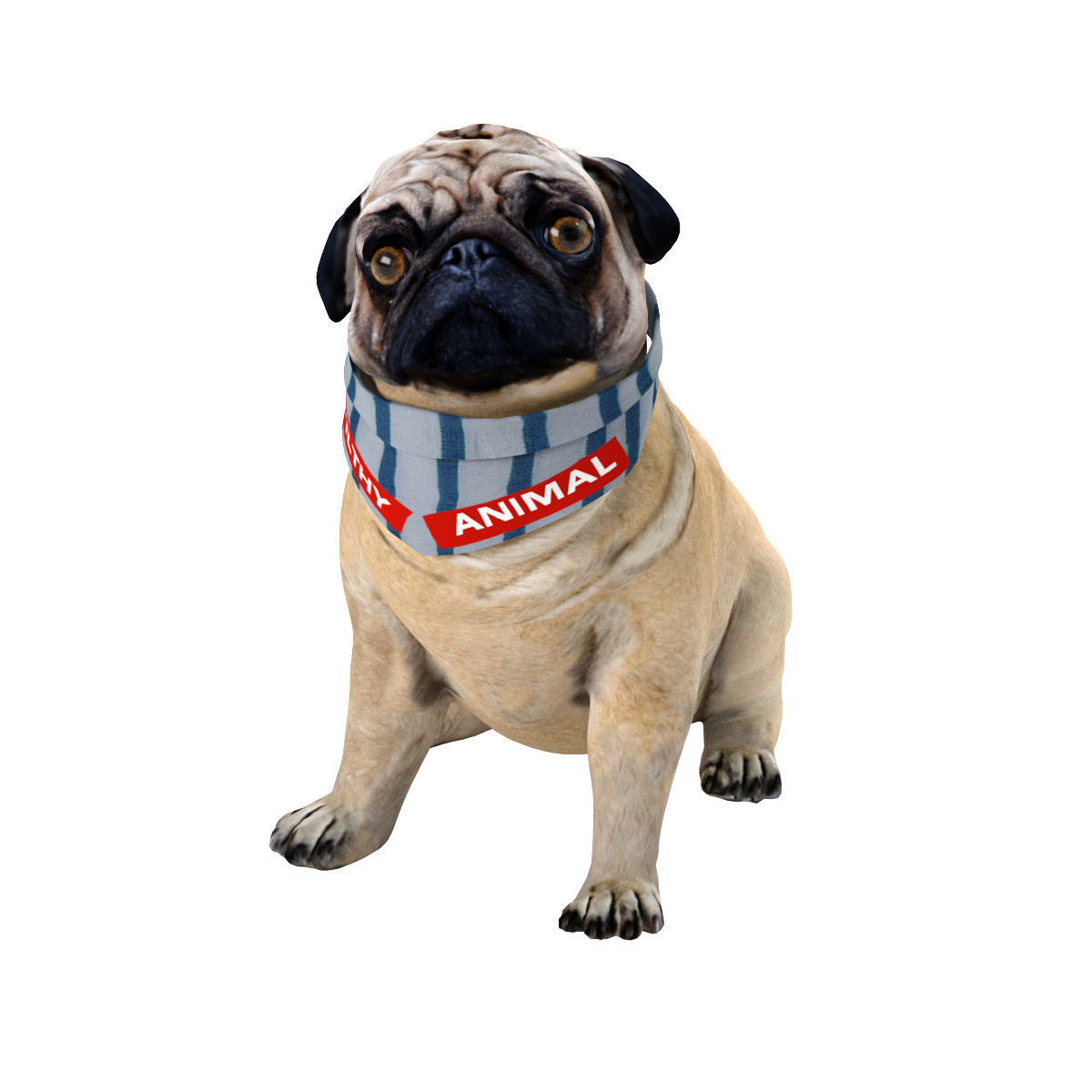 PUG - Dog 3D model_4