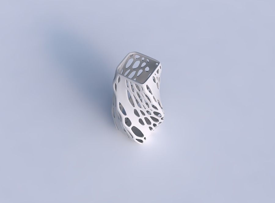 Vase twisted quadratic with organic lattice with solid sides 3D print model_1