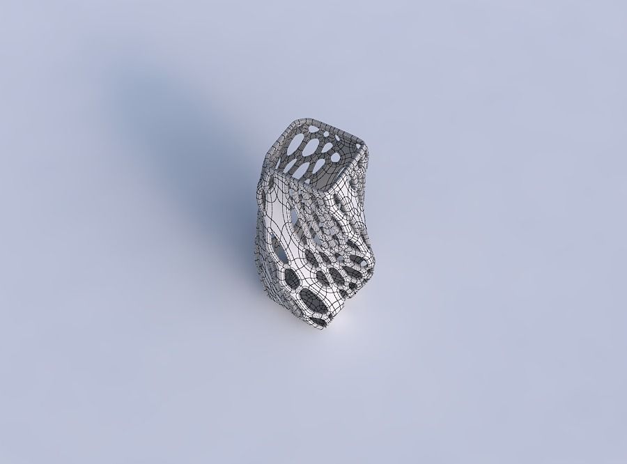 Vase twisted quadratic with organic lattice with solid sides 3D print model_6
