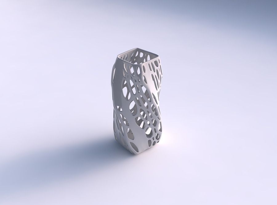 Vase twisted quadratic with organic lattice with solid sides 3D print model_0