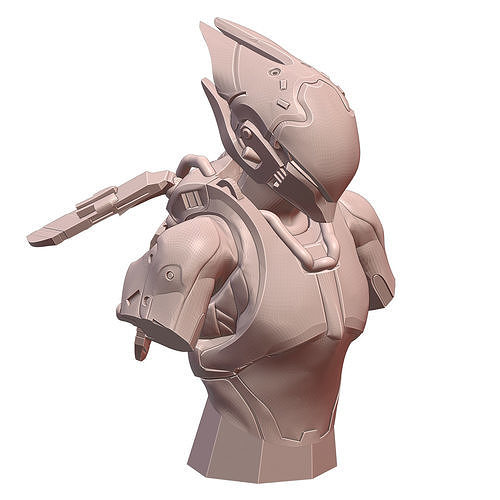 Anthem Interceptor Sixth Scale Bust 3D print model
