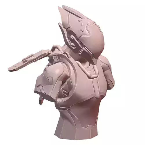 Anthem Interceptor Sixth Scale Bust 3D print model