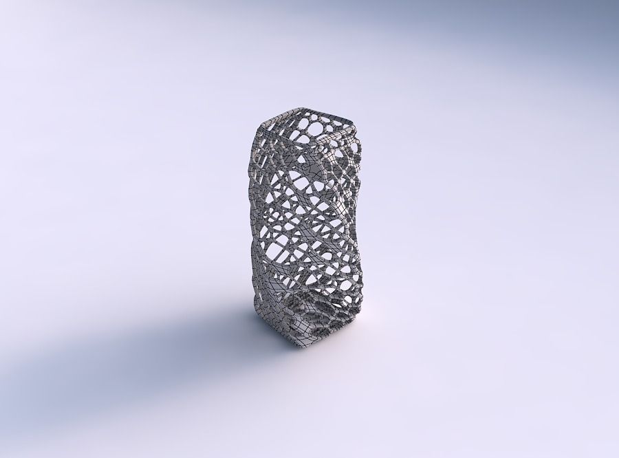 Vase twisted quadratic with twisted dense organic lattice 3D print model_5