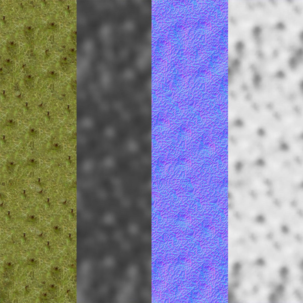 Aesculus x carnea briotii 201SU 3D model_13