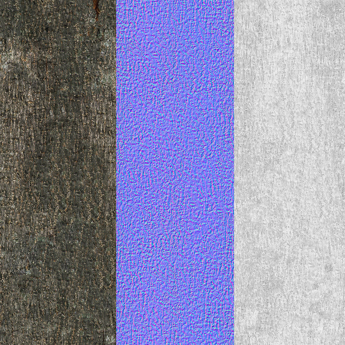 Aesculus x carnea briotii 201SU 3D model_10