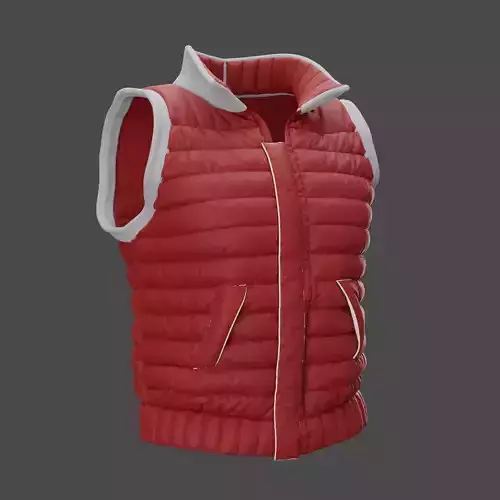 Down vest