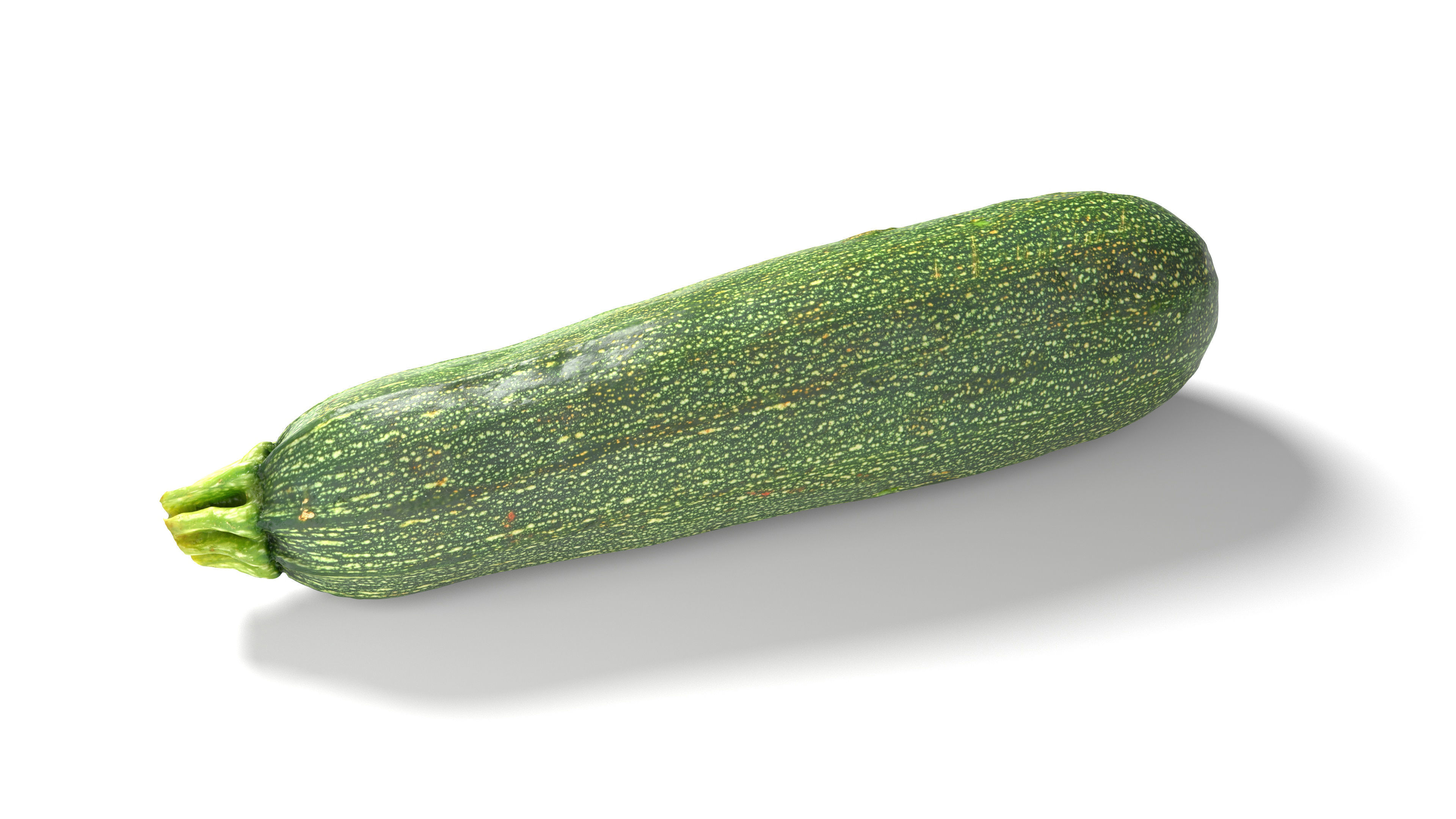 Zucchini Courgette - Photorealistic Scan Low-poly 3D model_8