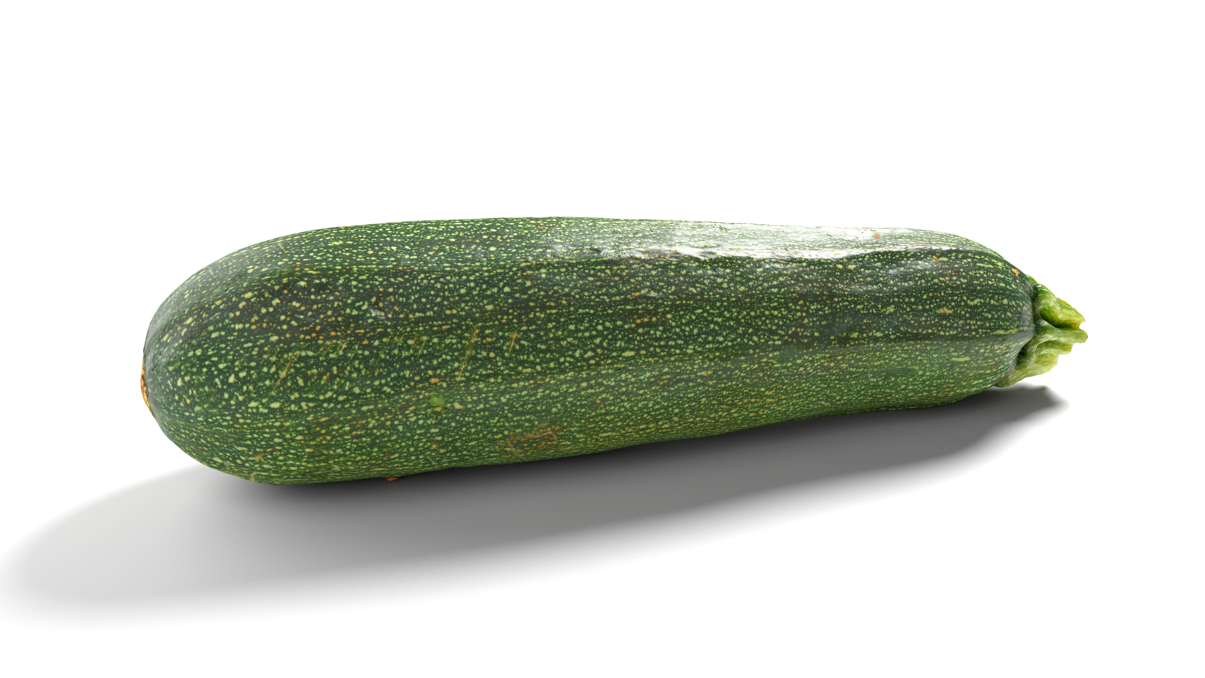 Zucchini Courgette - Photorealistic Scan Low-poly 3D model_13
