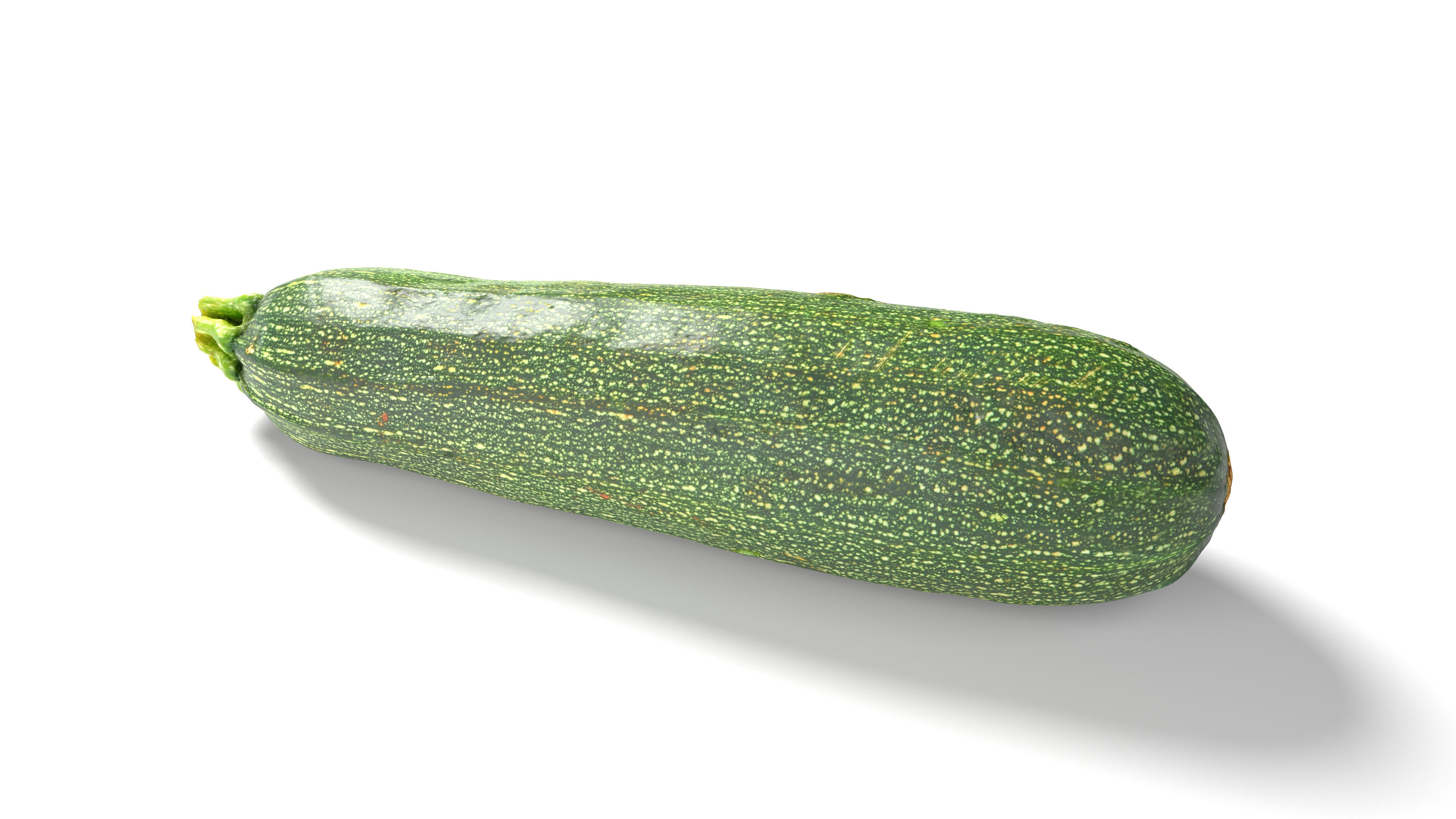 Zucchini Courgette - Photorealistic Scan Low-poly 3D model_6