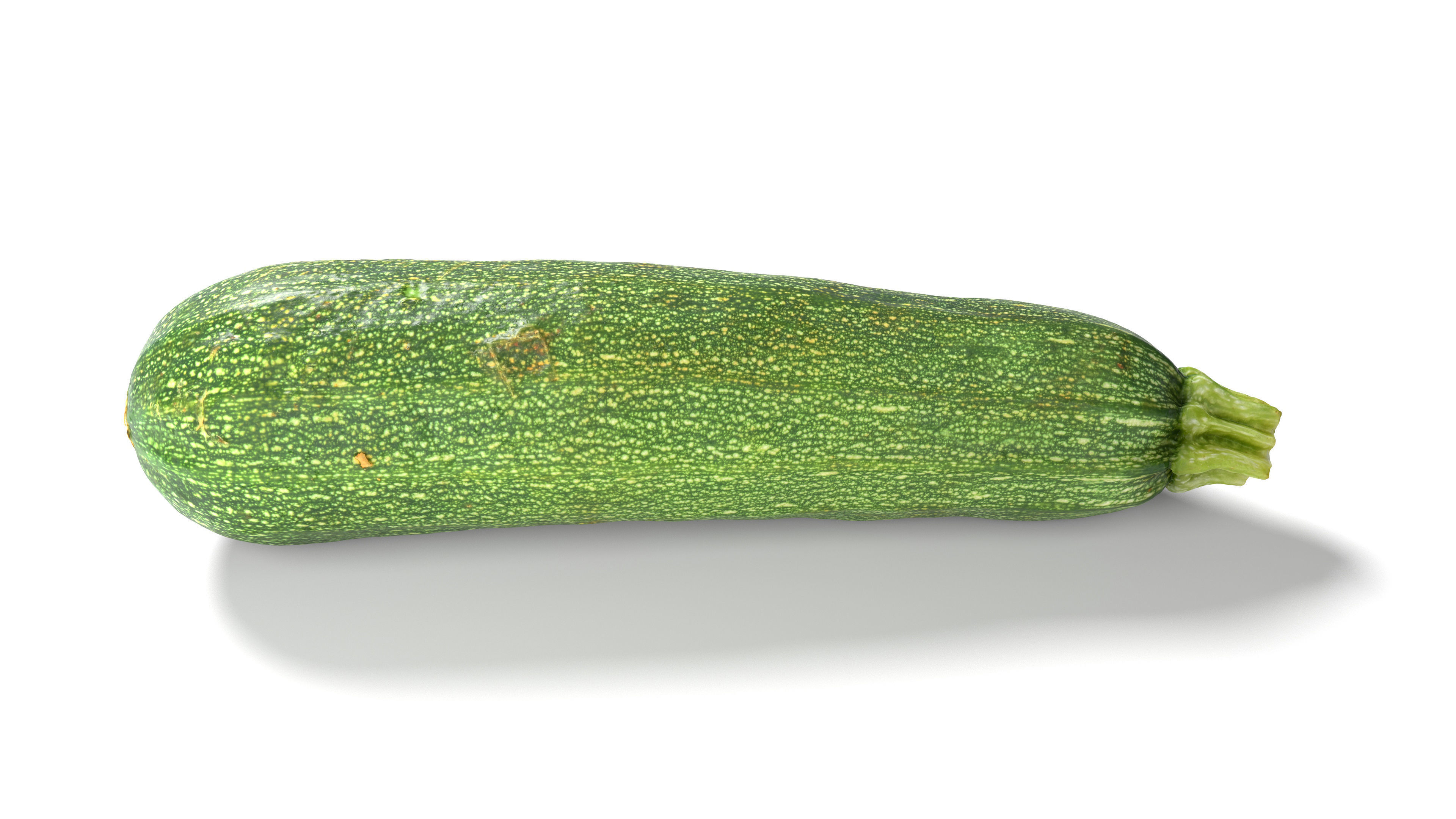 Zucchini Courgette - Photorealistic Scan Low-poly 3D model_7