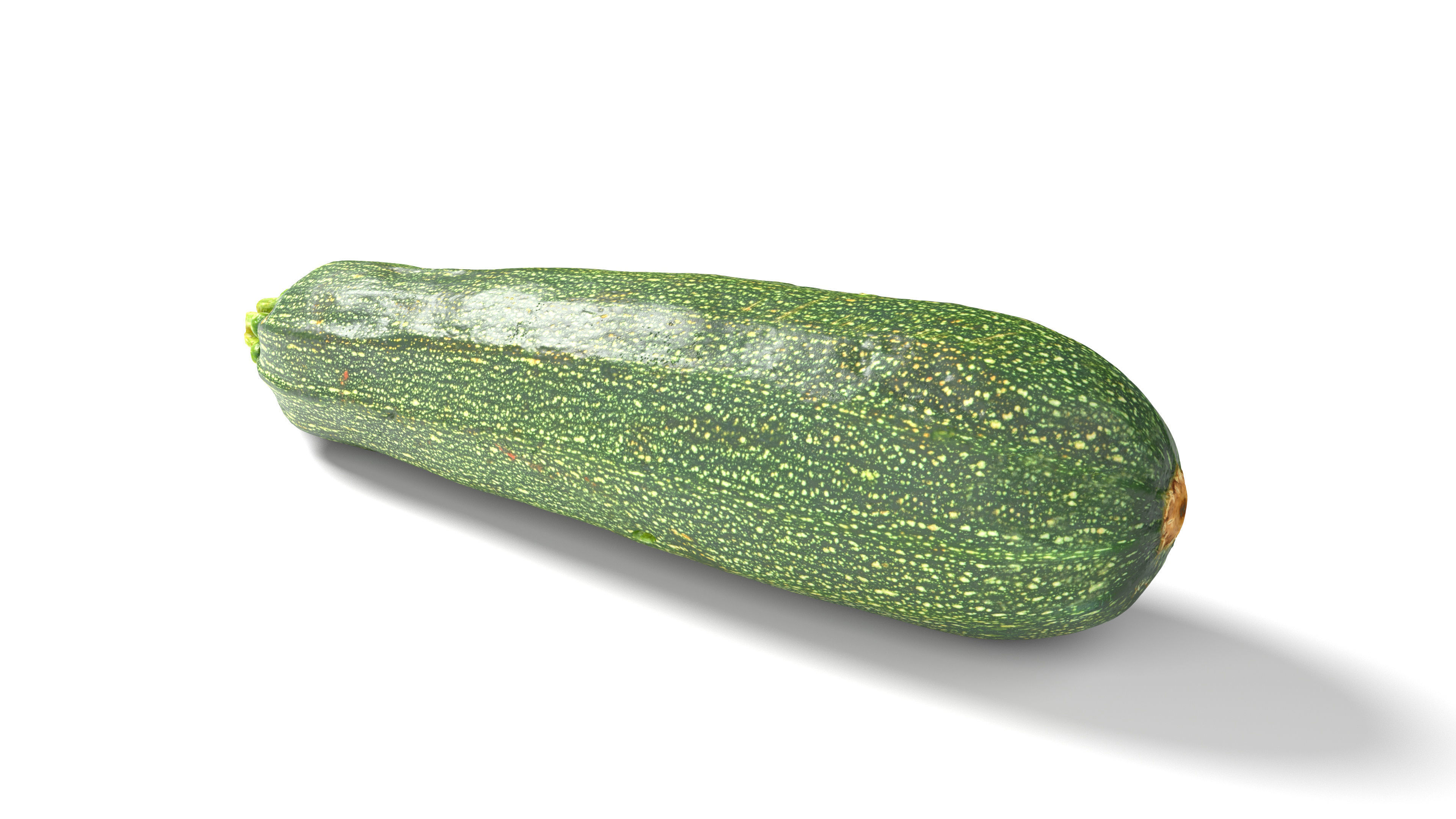 Zucchini Courgette - Photorealistic Scan Low-poly 3D model_9