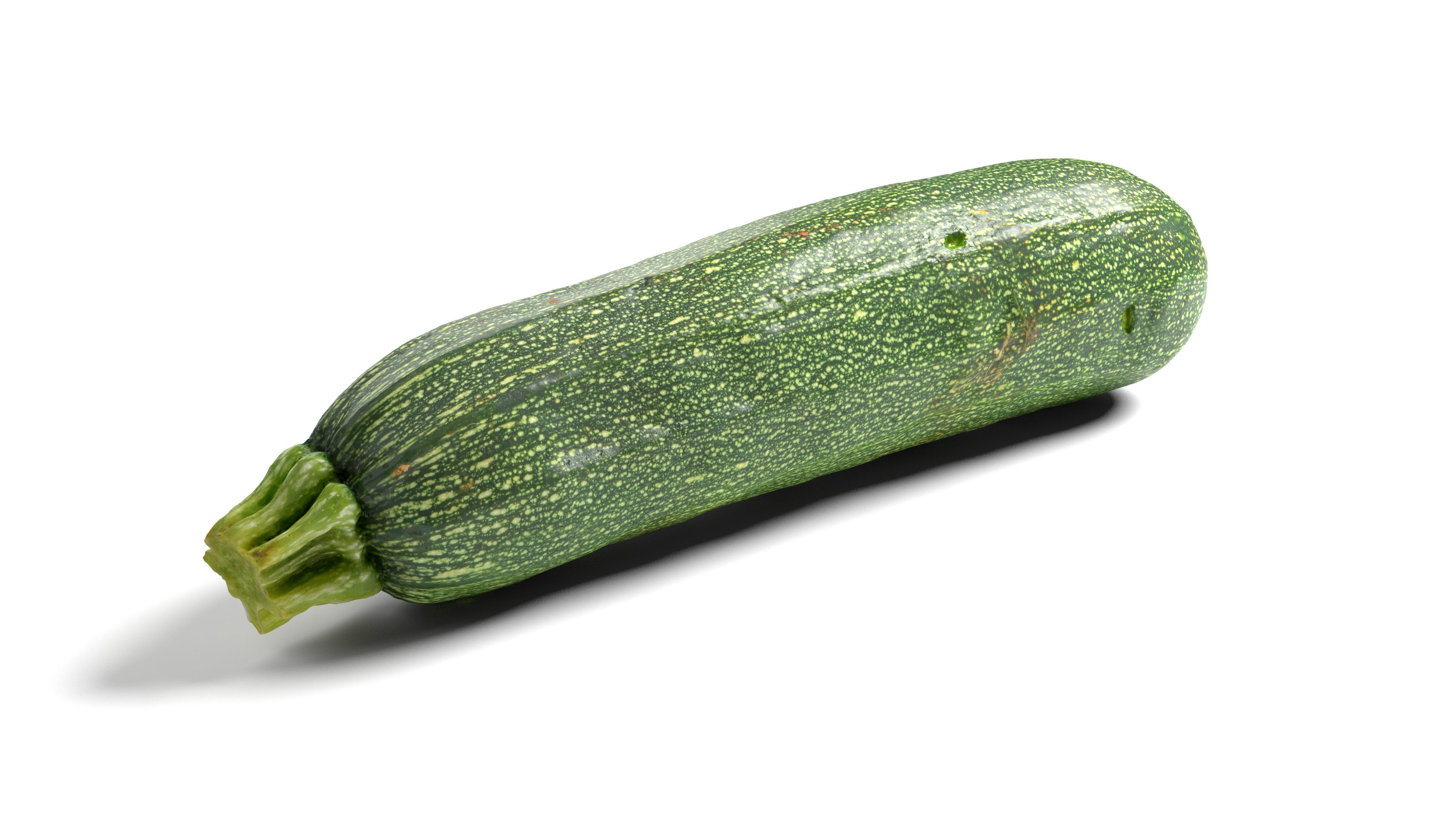 Zucchini Courgette - Photorealistic Scan Low-poly 3D model_15