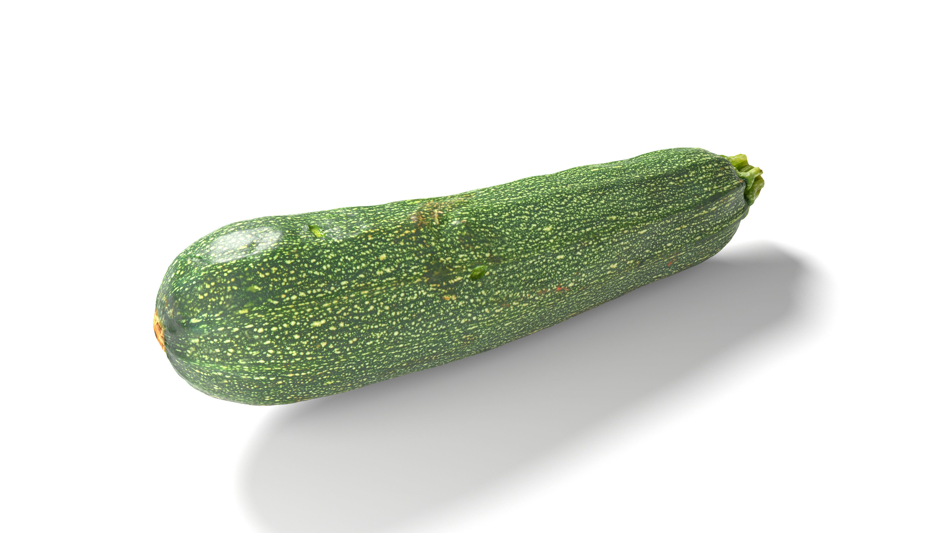 Zucchini Courgette - Photorealistic Scan Low-poly 3D model_2