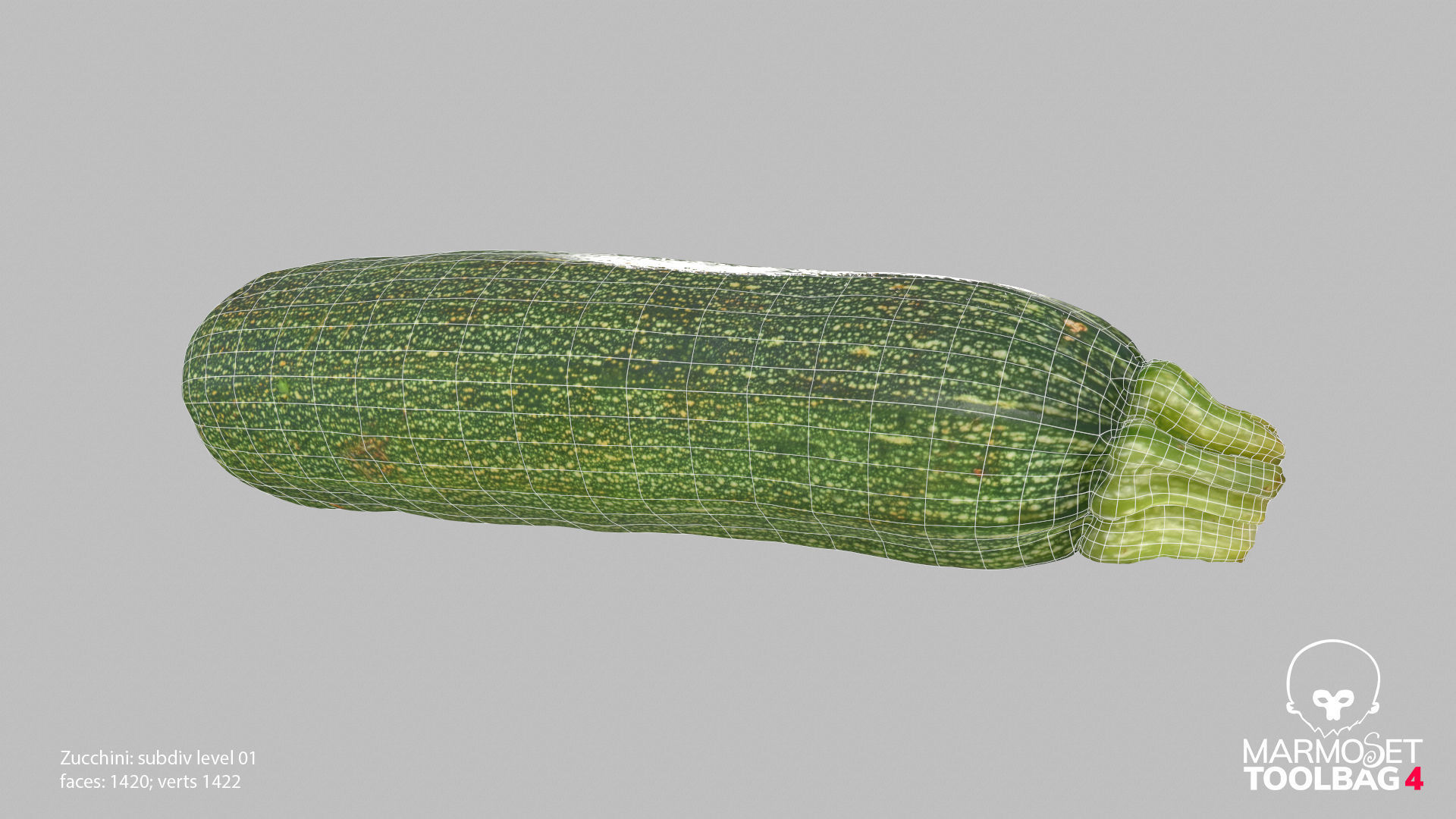 Zucchini Courgette - Photorealistic Scan Low-poly 3D model_16