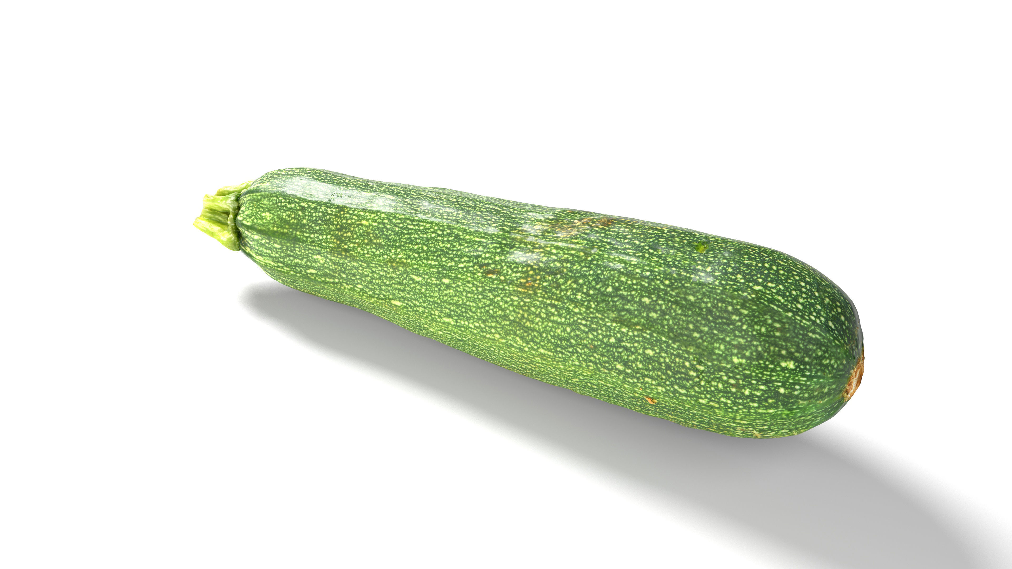 Zucchini Courgette - Photorealistic Scan Low-poly 3D model_5