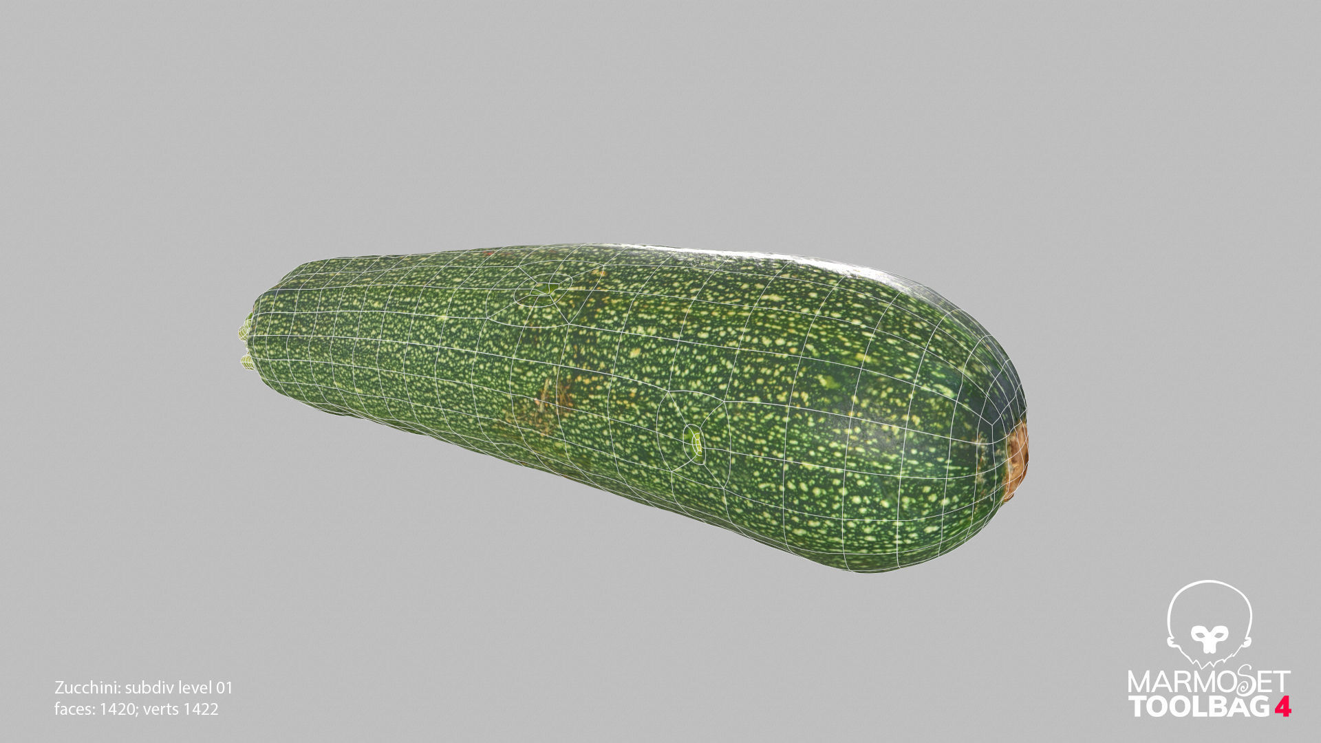 Zucchini Courgette - Photorealistic Scan Low-poly 3D model_18