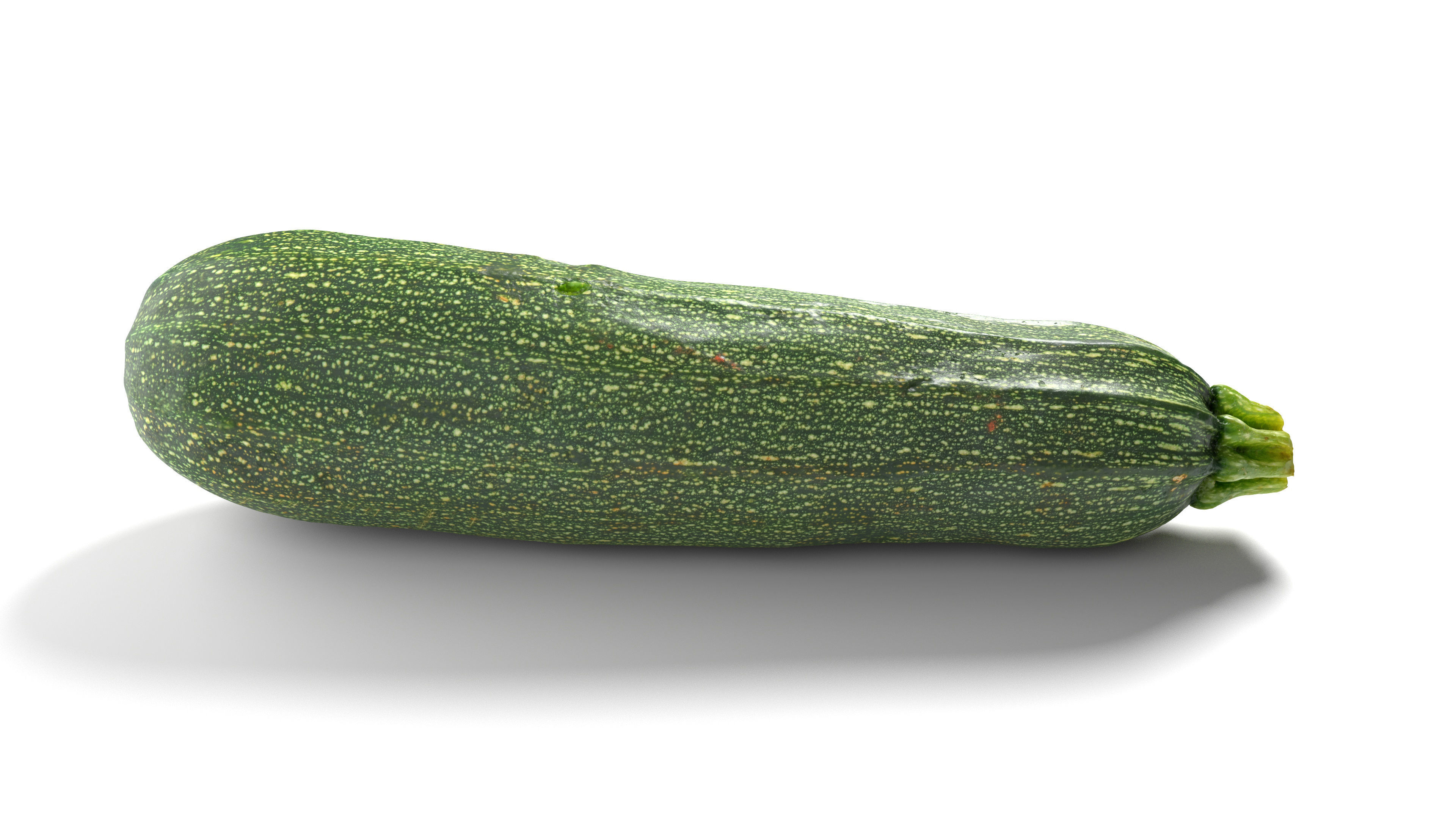 Zucchini Courgette - Photorealistic Scan Low-poly 3D model_12