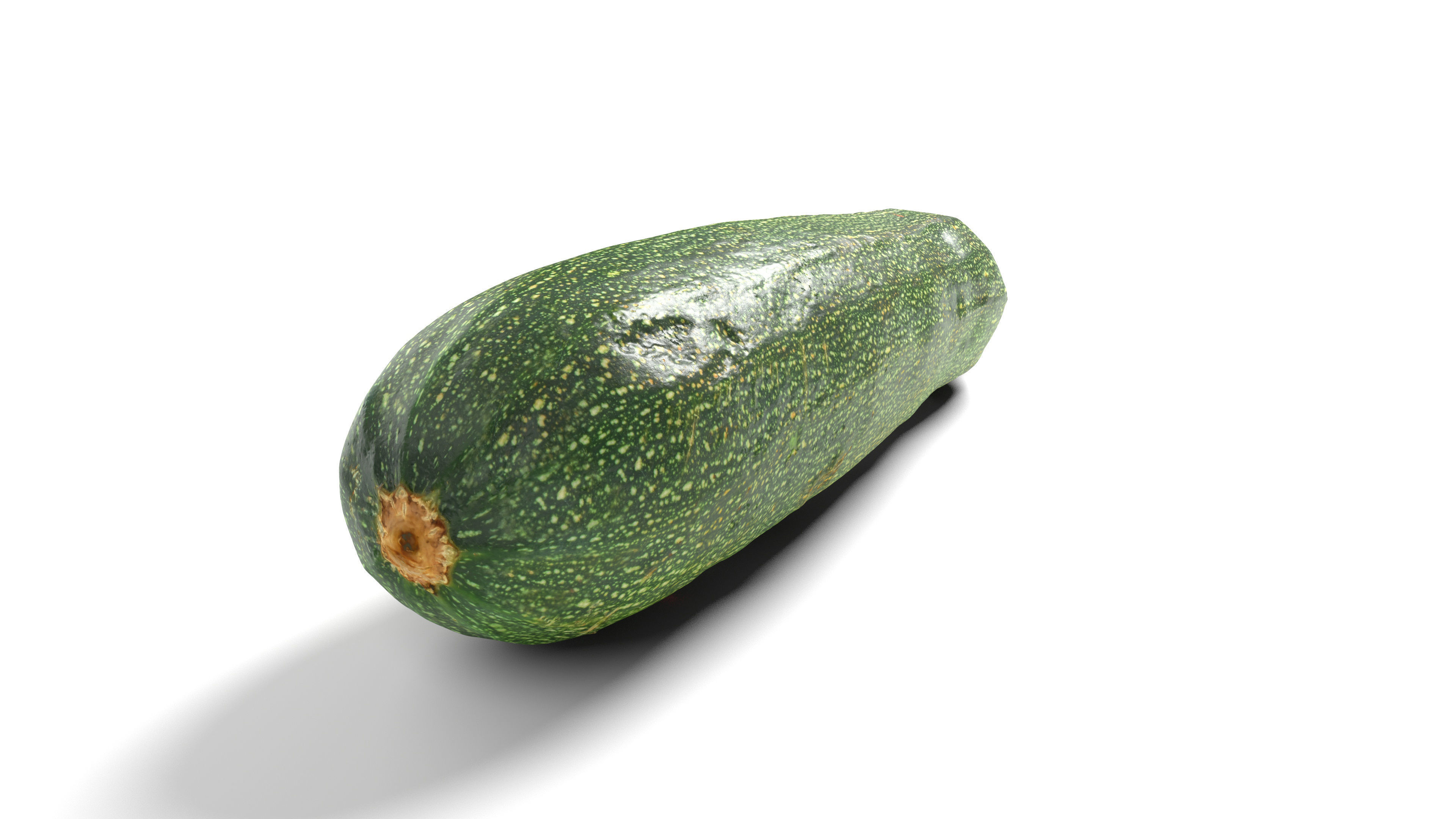 Zucchini Courgette - Photorealistic Scan Low-poly 3D model_14