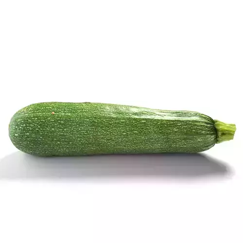 Zucchini  Courgette - Photorealistic  Scan Low-poly 3D model