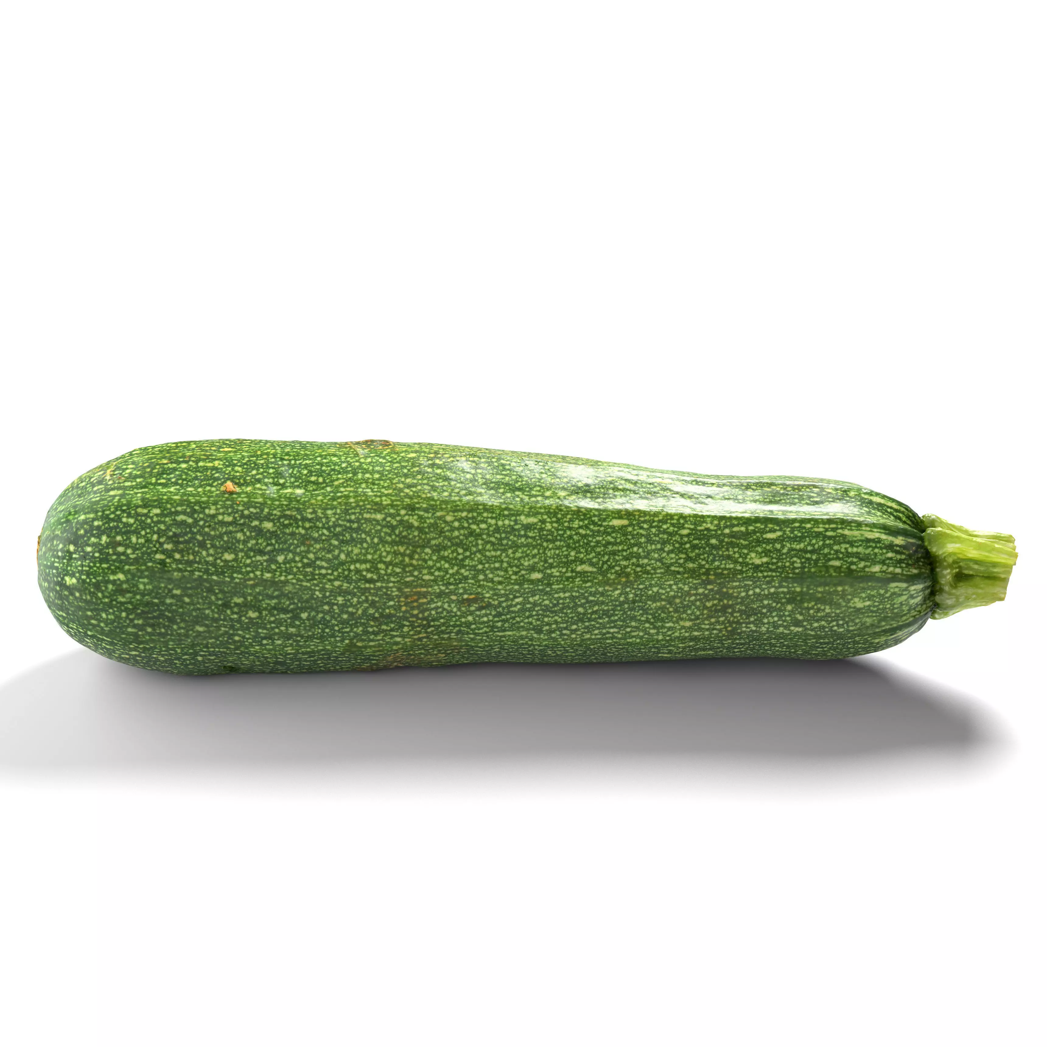 Zucchini Courgette - Photorealistic Scan Low-poly 3D model_0