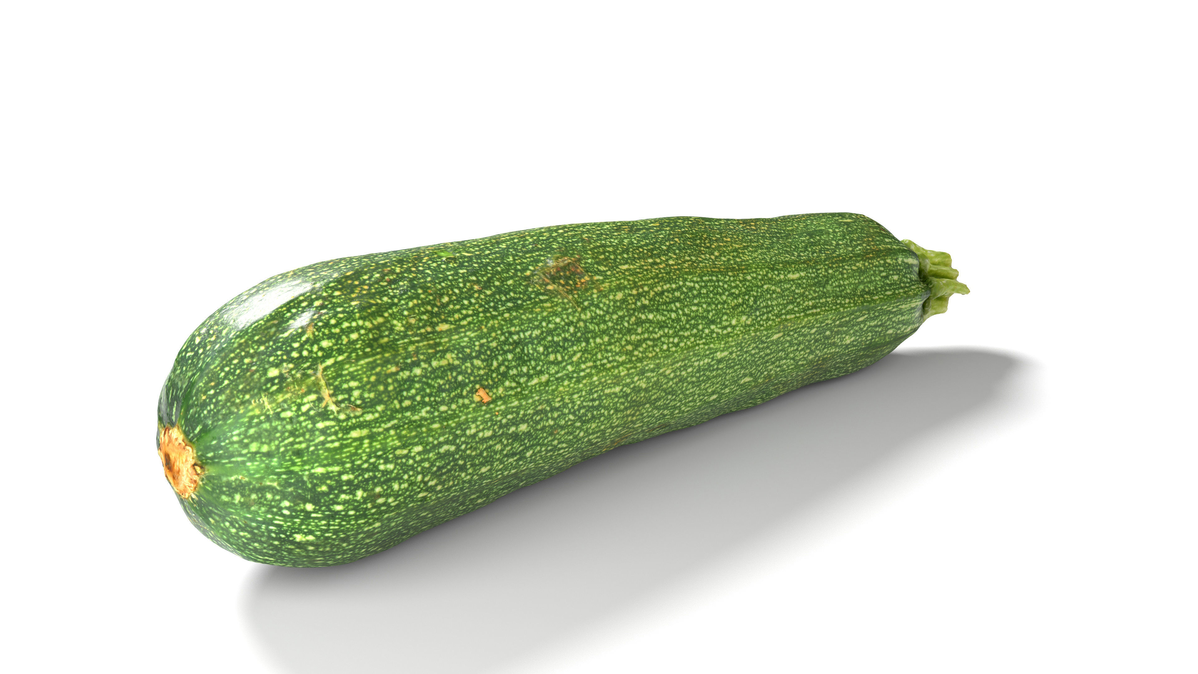Zucchini Courgette - Photorealistic Scan Low-poly 3D model_10