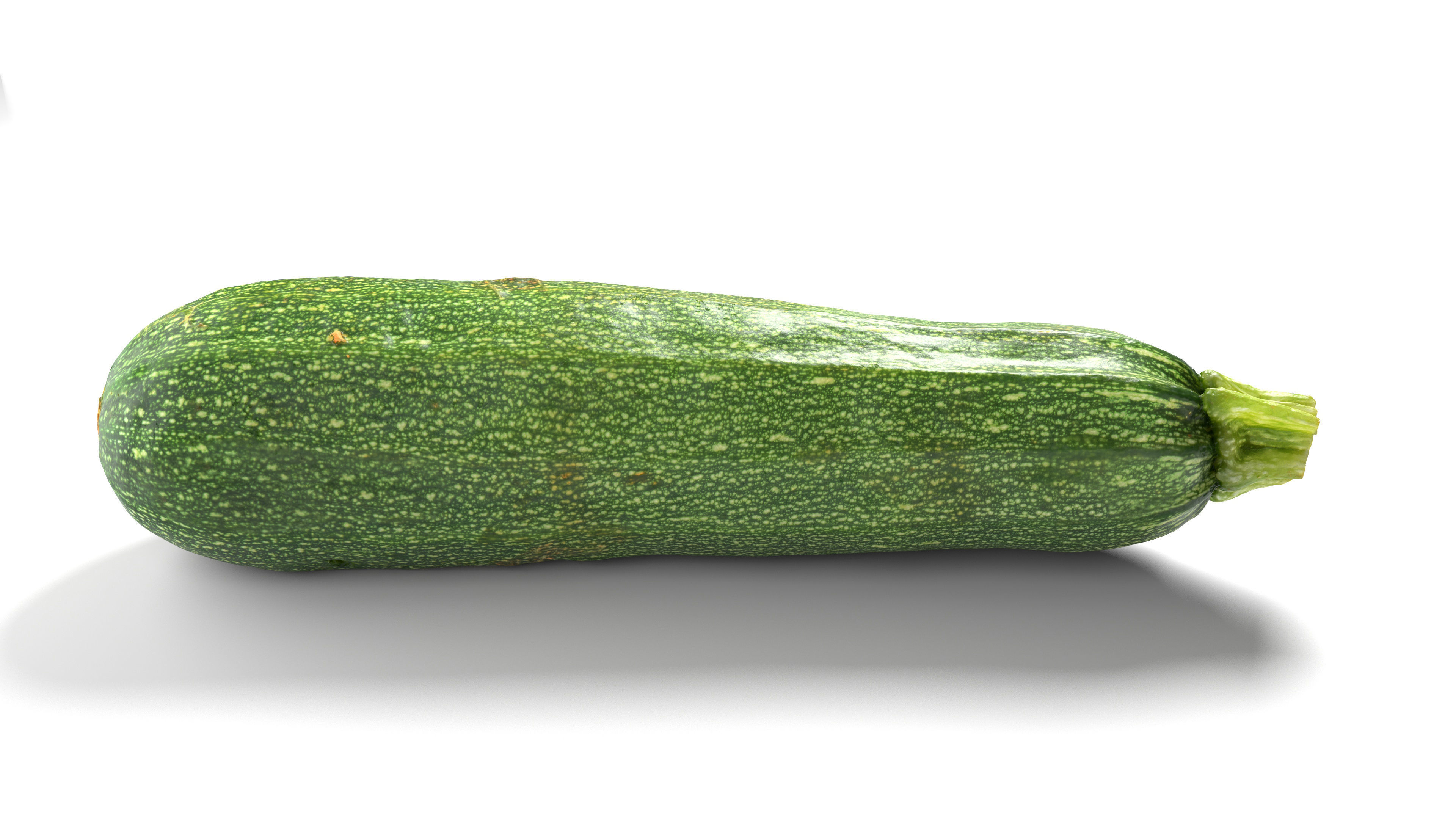 Zucchini Courgette - Photorealistic Scan Low-poly 3D model_11