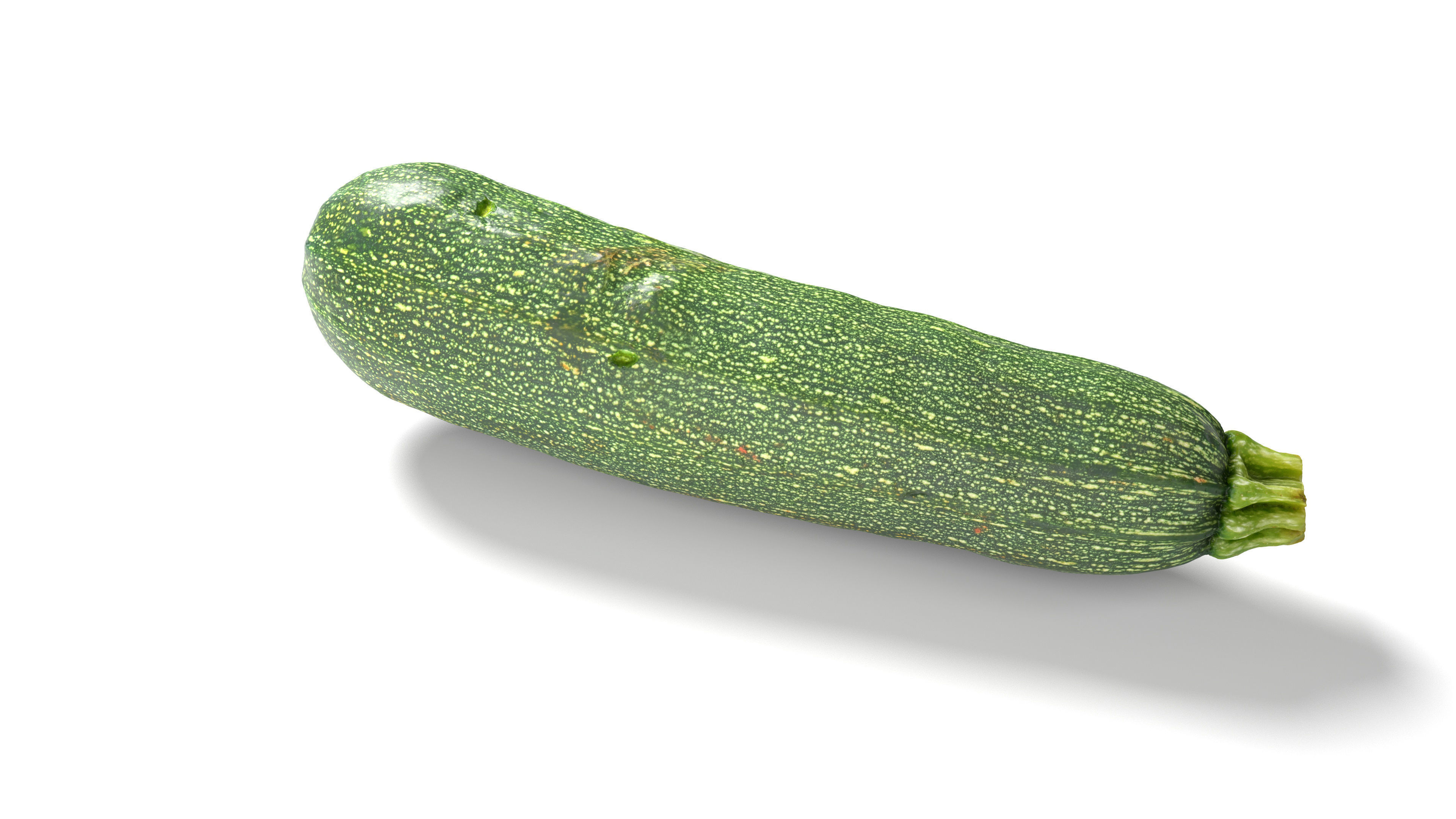 Zucchini Courgette - Photorealistic Scan Low-poly 3D model_3