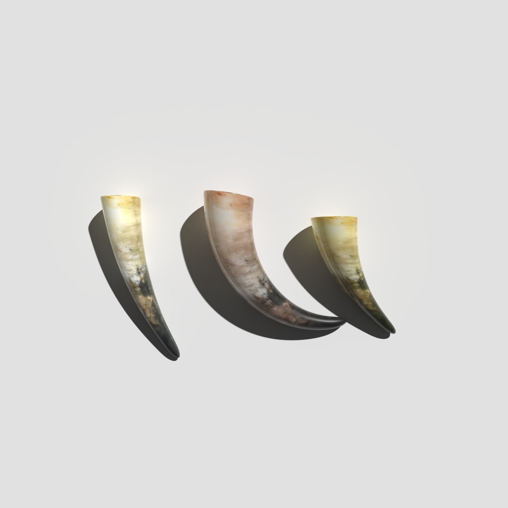 Drinking Horns Pack 3D model_8