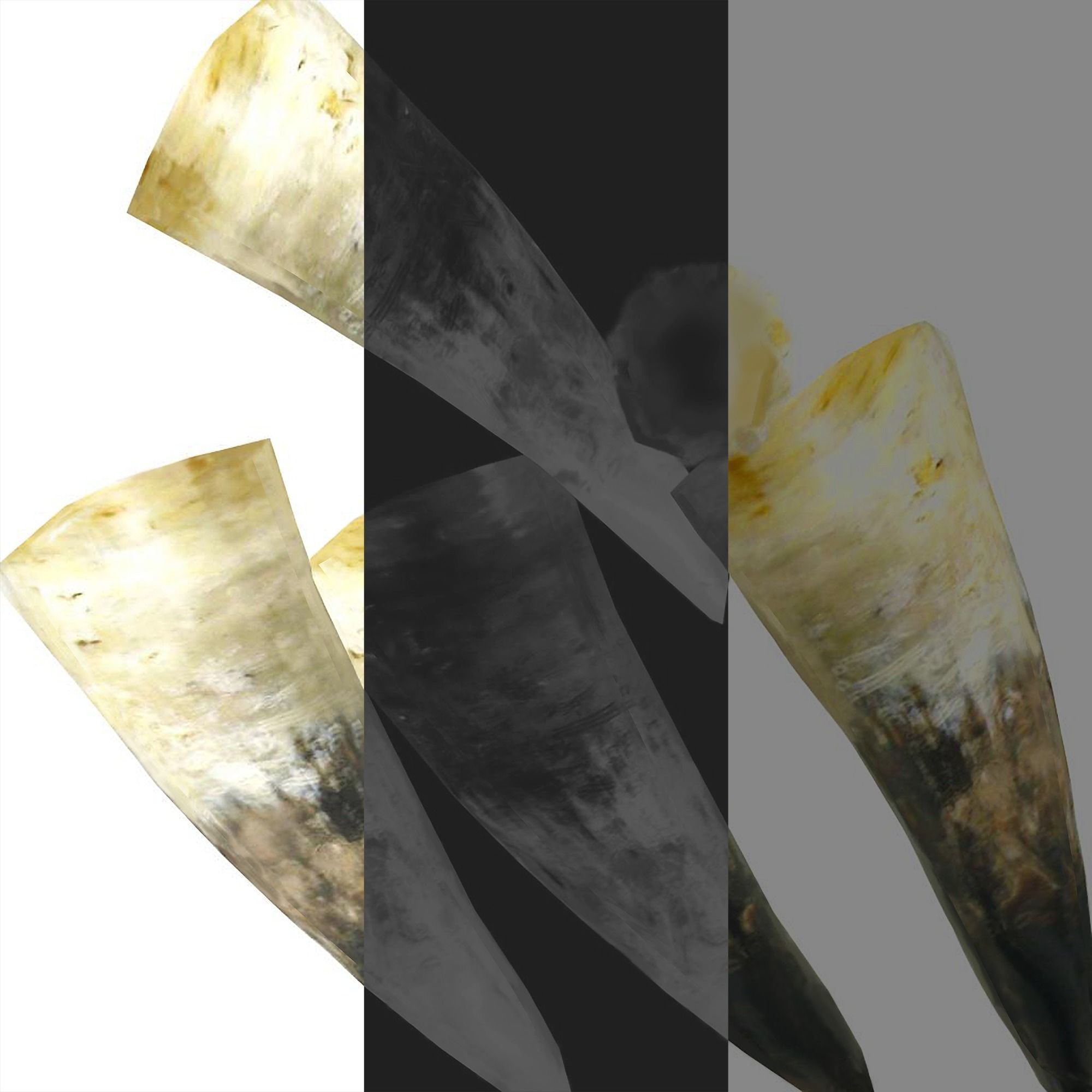 Drinking Horns Pack 3D model_15