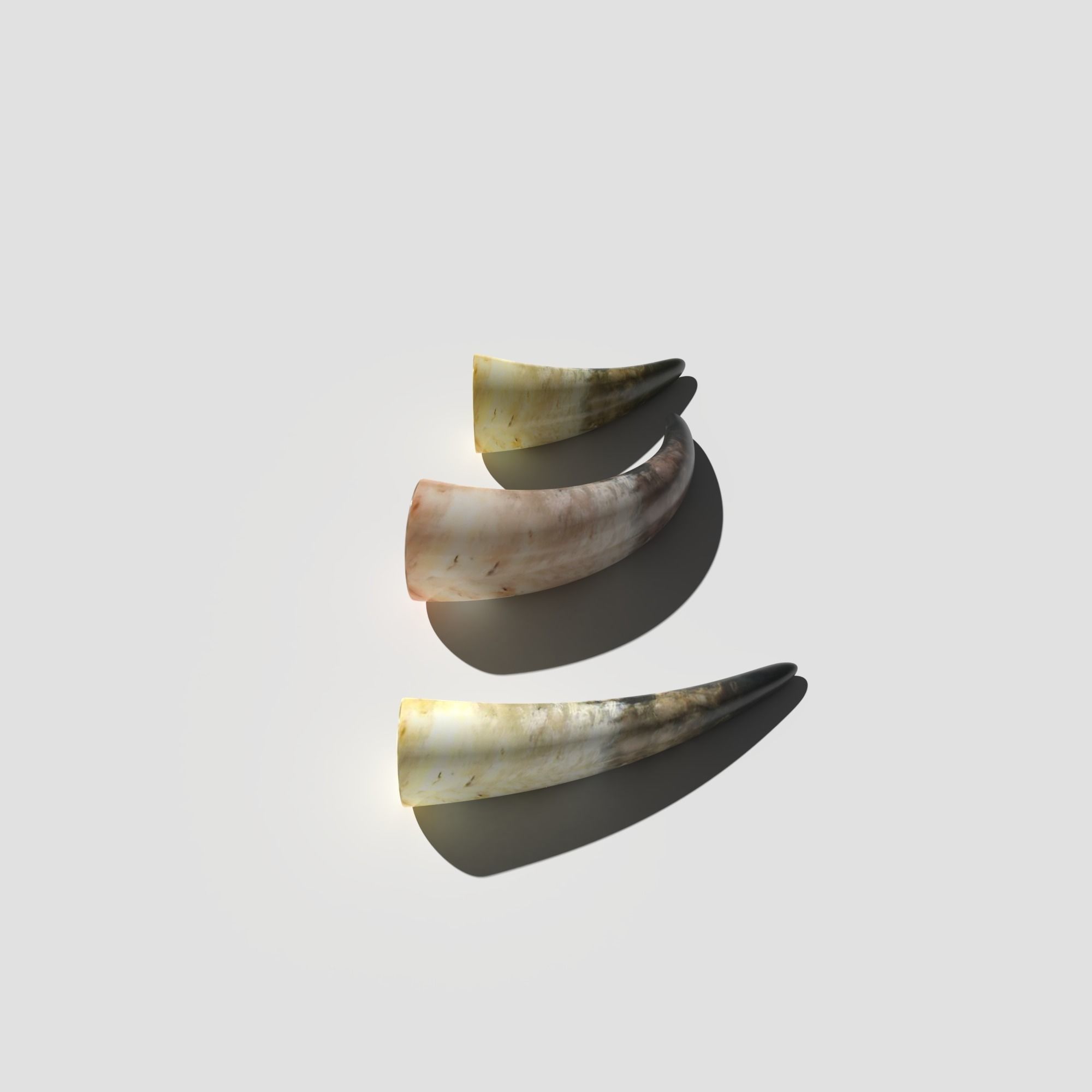 Drinking Horns Pack 3D model_7