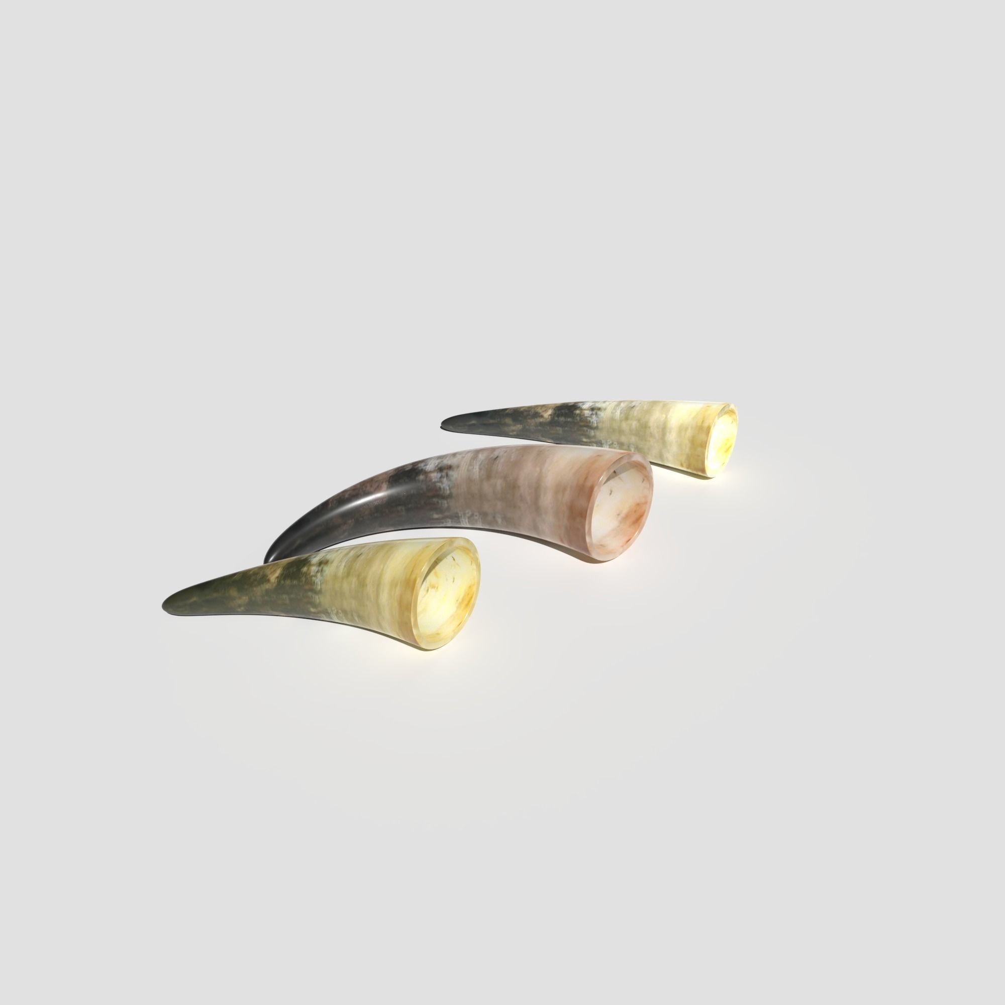 Drinking Horns Pack 3D model_4