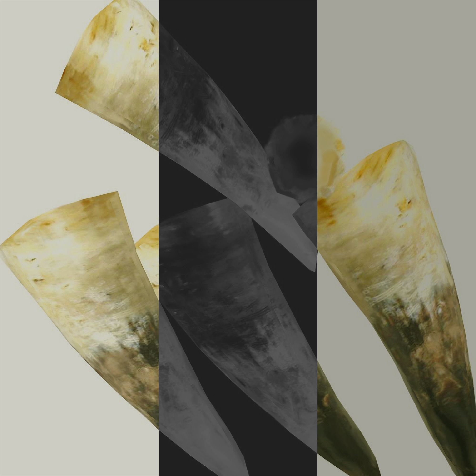 Drinking Horns Pack 3D model_17