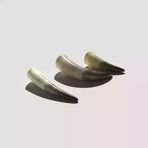 Drinking Horns Pack 3D model