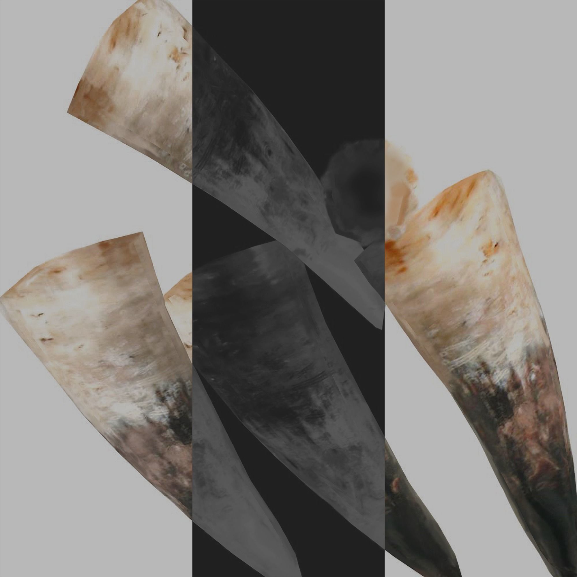 Drinking Horns Pack 3D model_16