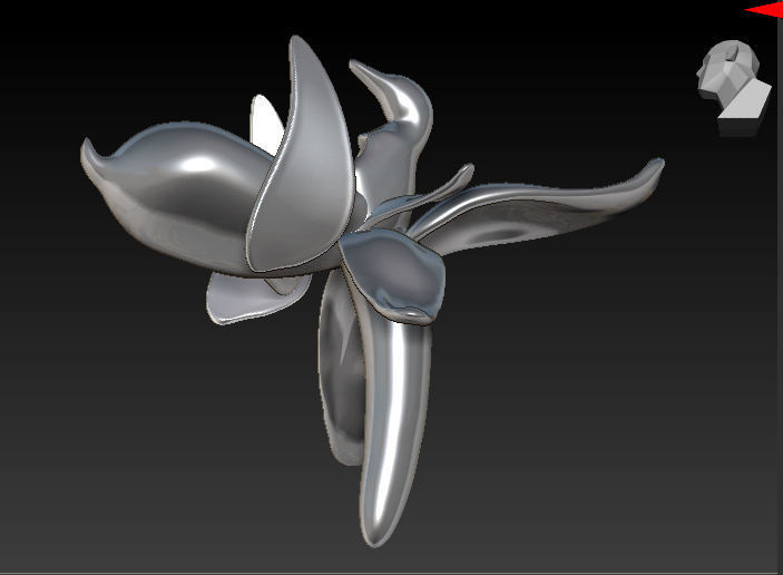 XariBulbul flower 3D print model_7
