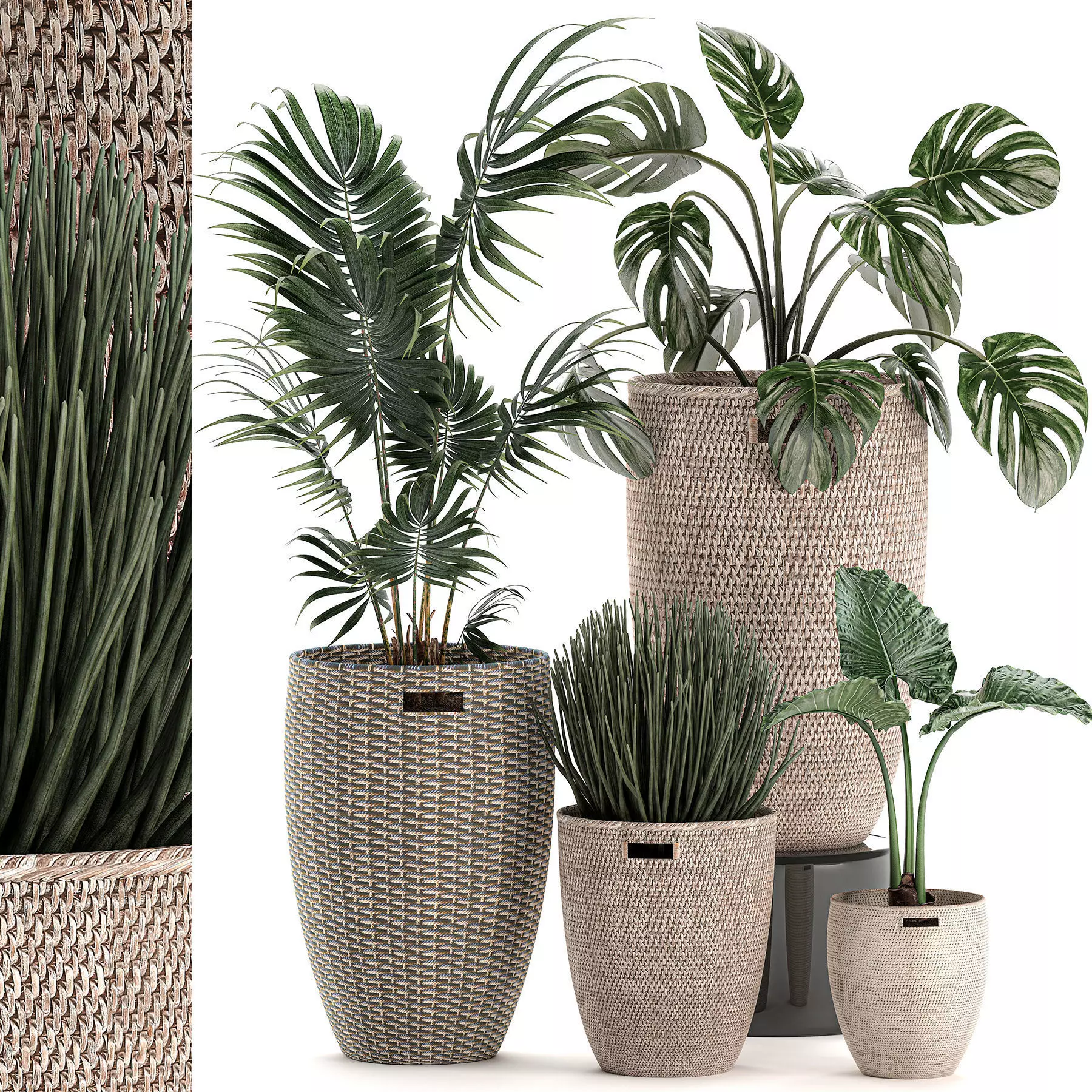 Decorative plants in a basket 570 3D model