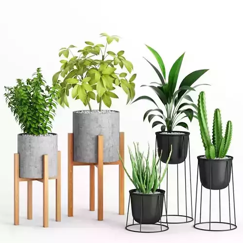 Plants And Planters 2